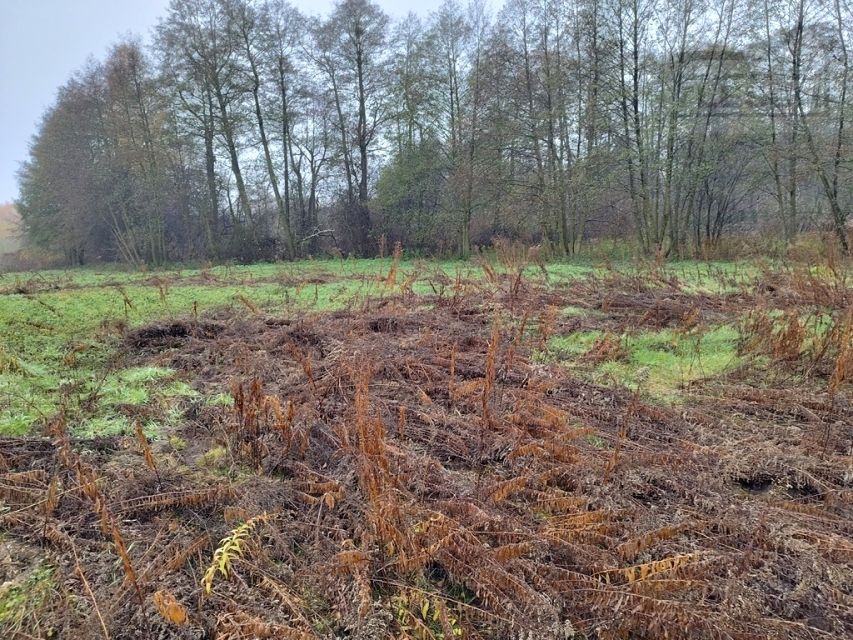 Działka budowlana Adamów-Wieś