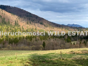 Działka budowlana Cisna