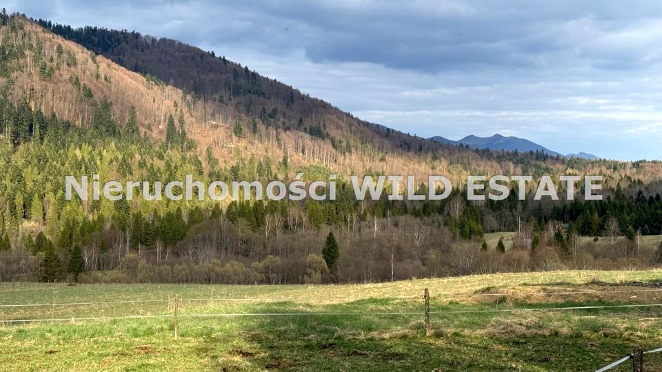 Działka budowlana Cisna