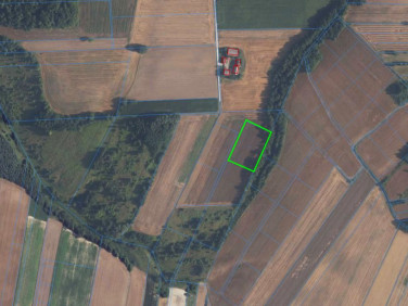 Działka inna Miechów