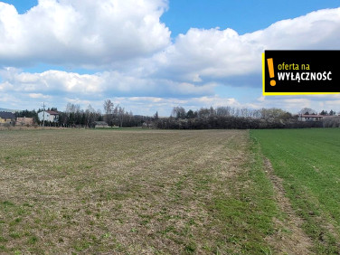 Działka inna Wolica