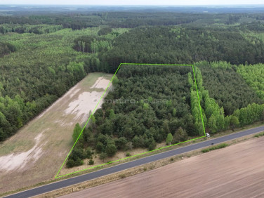 Działka leśna Opiłki Płoskie
