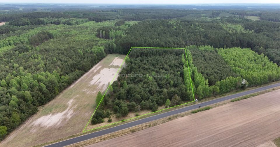 Działka leśna Opiłki Płoskie