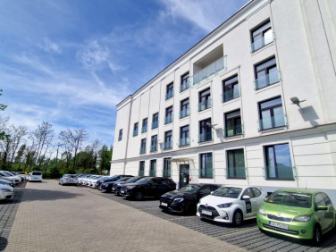 Lokal Katowice