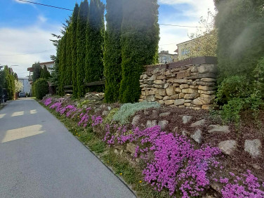 Mieszkanie Rymanów-Zdrój