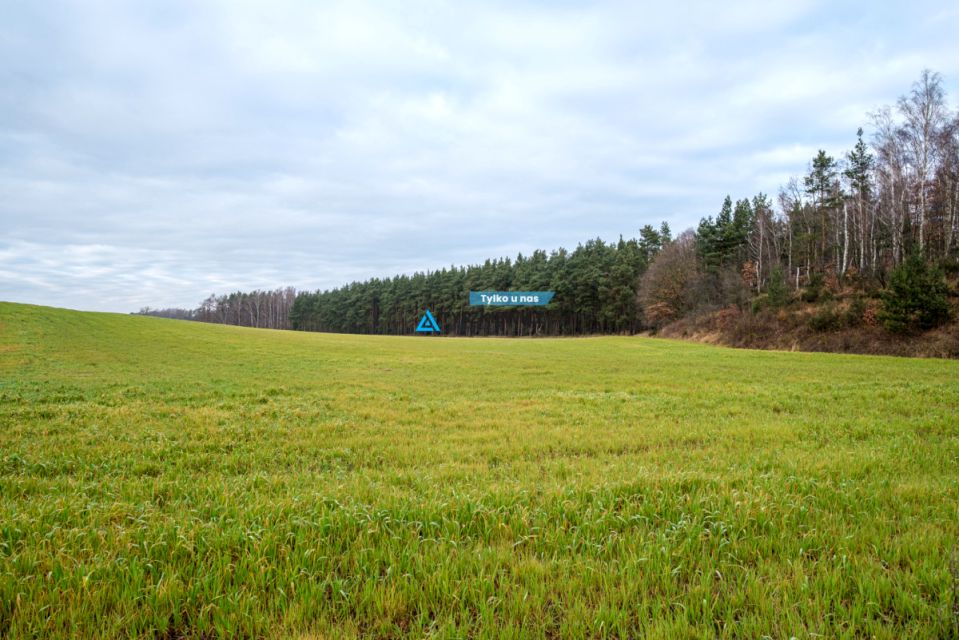 Działka inwestycyjna Pierwoszyno