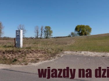 Działka Oćwieka