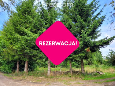 Działka Kodrąbek