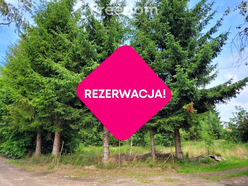 Działka Kodrąbek