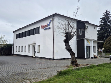 Lokal Opole