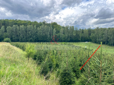 Działka budowlana Stare Czaple