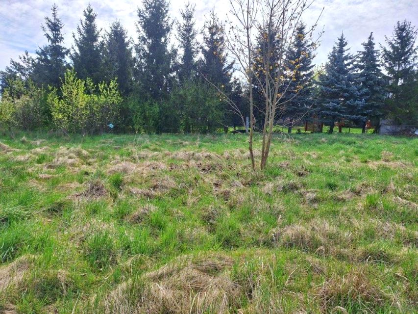 Działka budowlana sprzedam