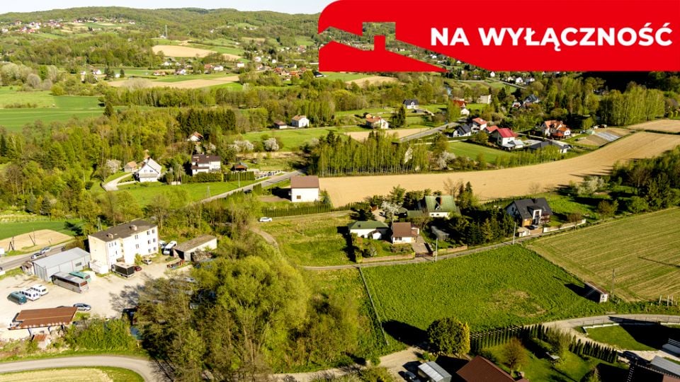 Zdjęcie 3