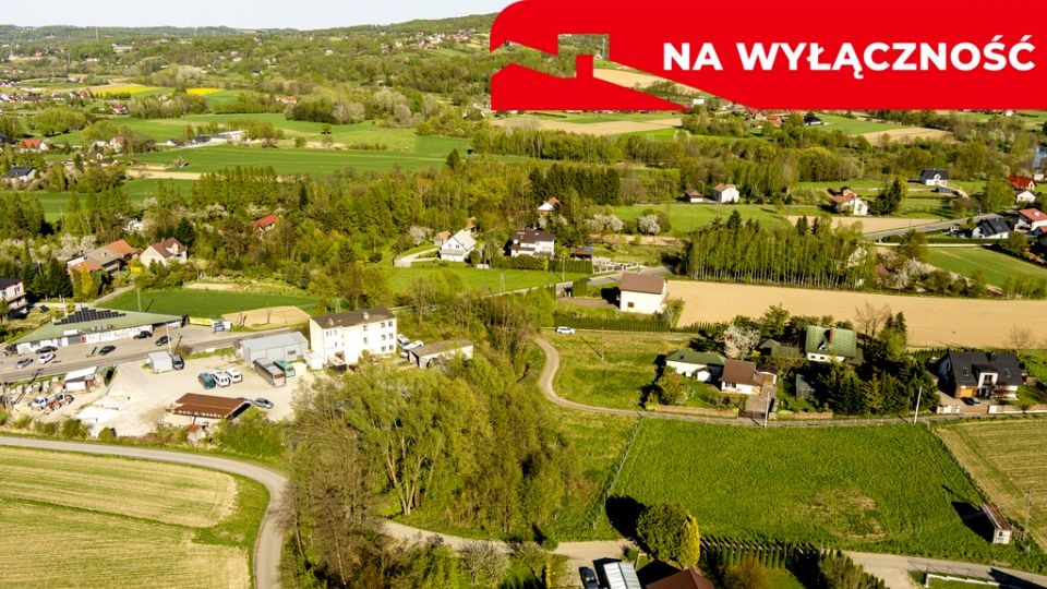 Zdjęcie 2