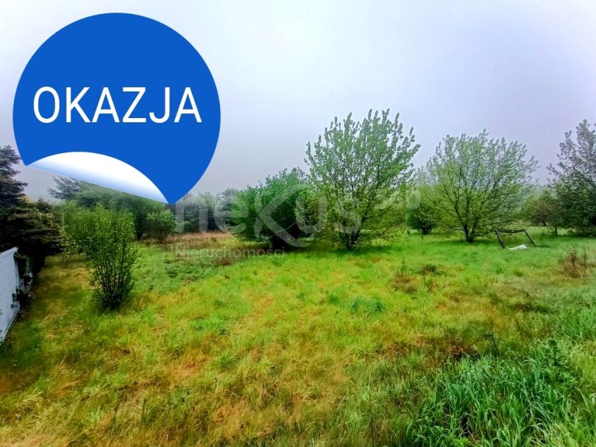 Zdjęcie 3