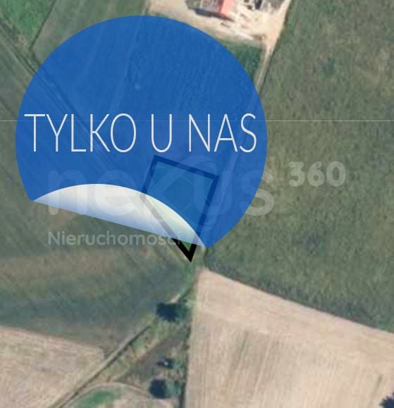 Zdjęcie 3