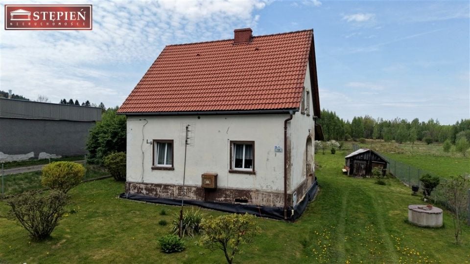 Zdjęcie 3