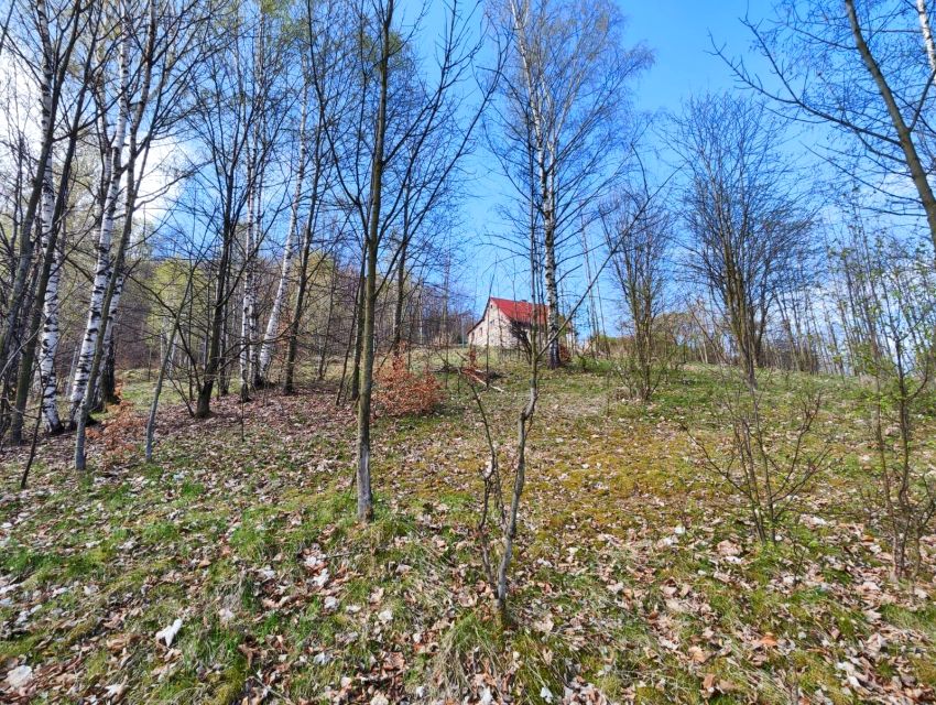 Działka Piechowice