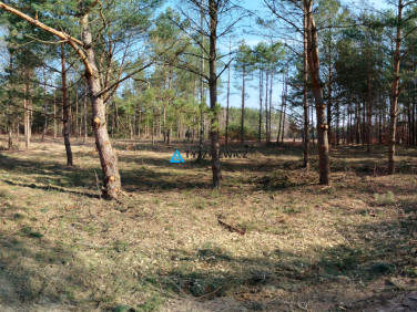 Działka budowlana Bukowiny