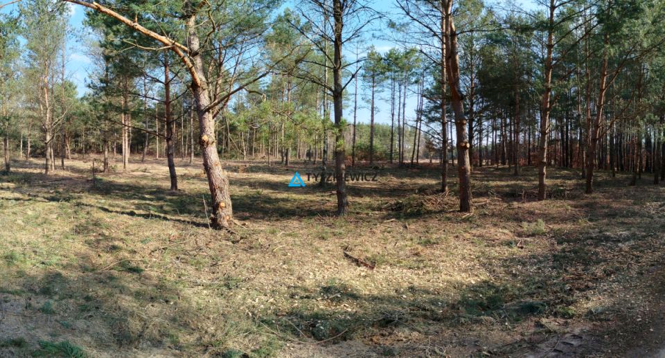 Działka budowlana Bukowiny