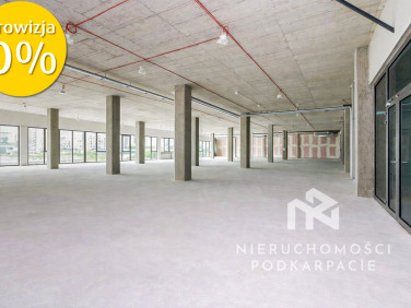 Lokal Rzeszów wynajem