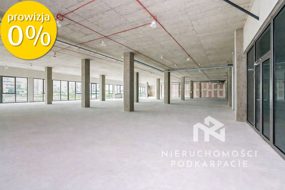 Lokal Rzeszów wynajem