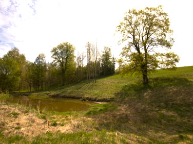 Działka Żubryn