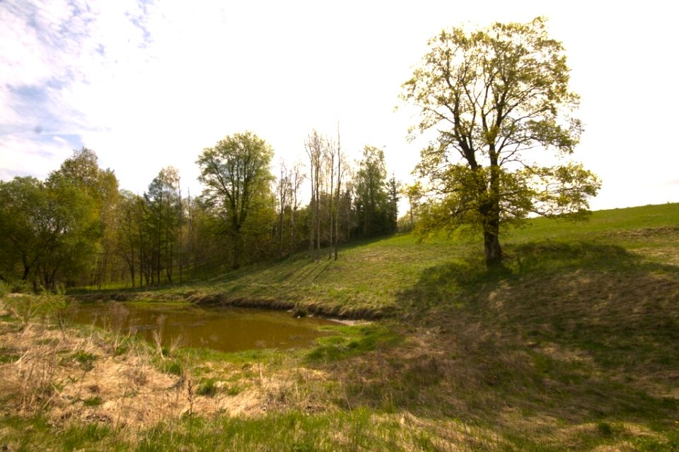 Działka Żubryn