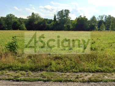 Działka budowlana Żyrardów