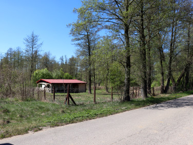 Działka Pokrzywnica