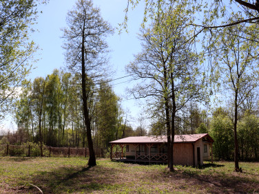 Działka Pokrzywnica
