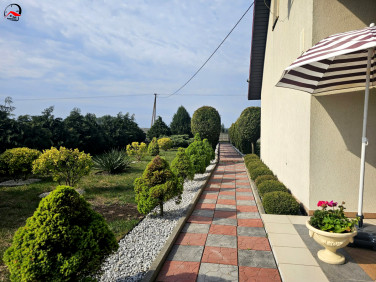 Dom Łuszczewo