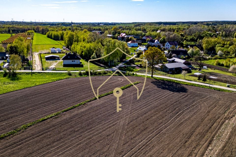 Zdjęcie 2