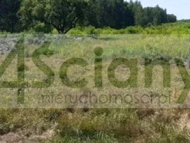 Działka budowlana Władysławów