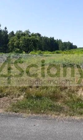 Działka budowlana Władysławów