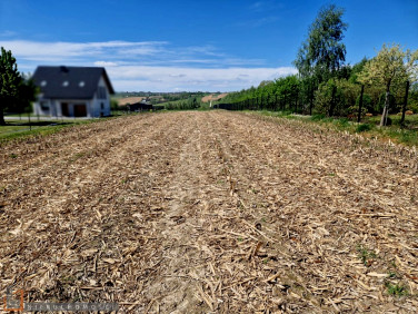 Działka budowlana Wilczkowice