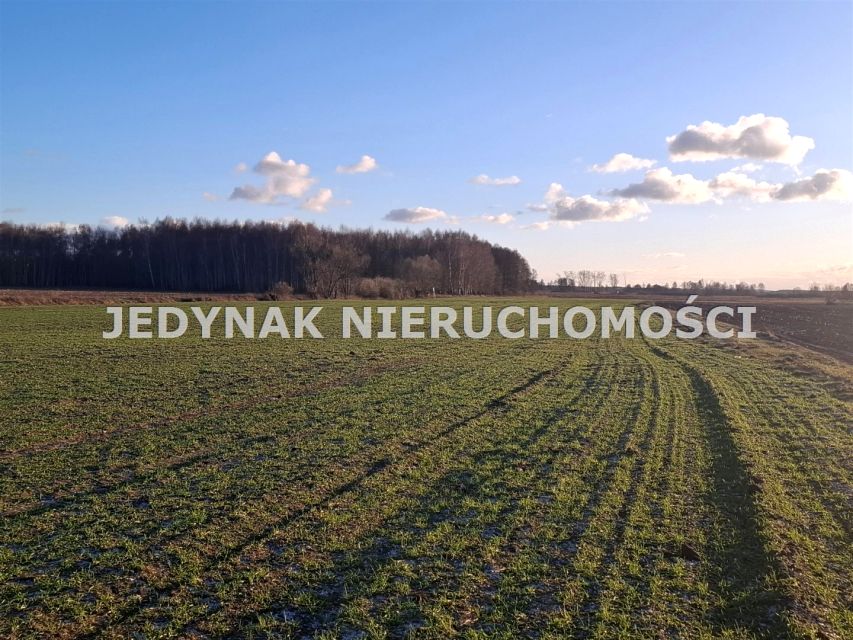 Działka budowlana Kruszyn Krajeński