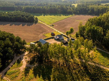 Działka przy lesie