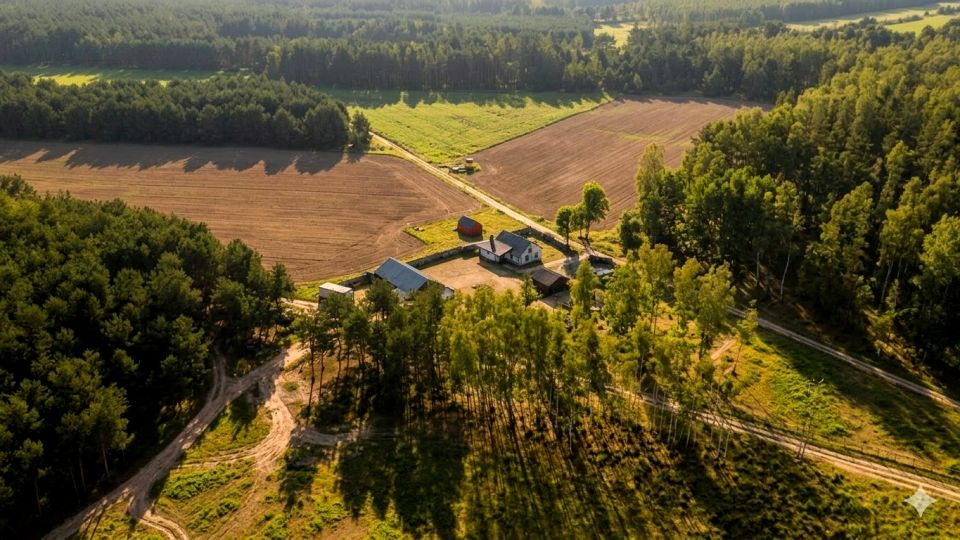 Działka przy lesie