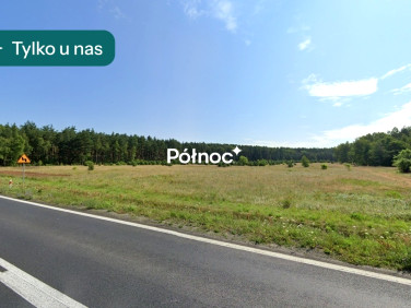 Działka usługowa Kozłów
