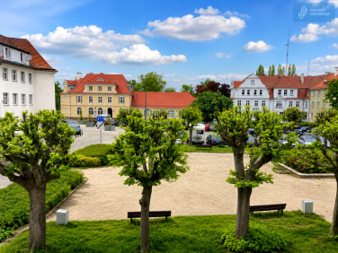Mieszkanie przy lesie