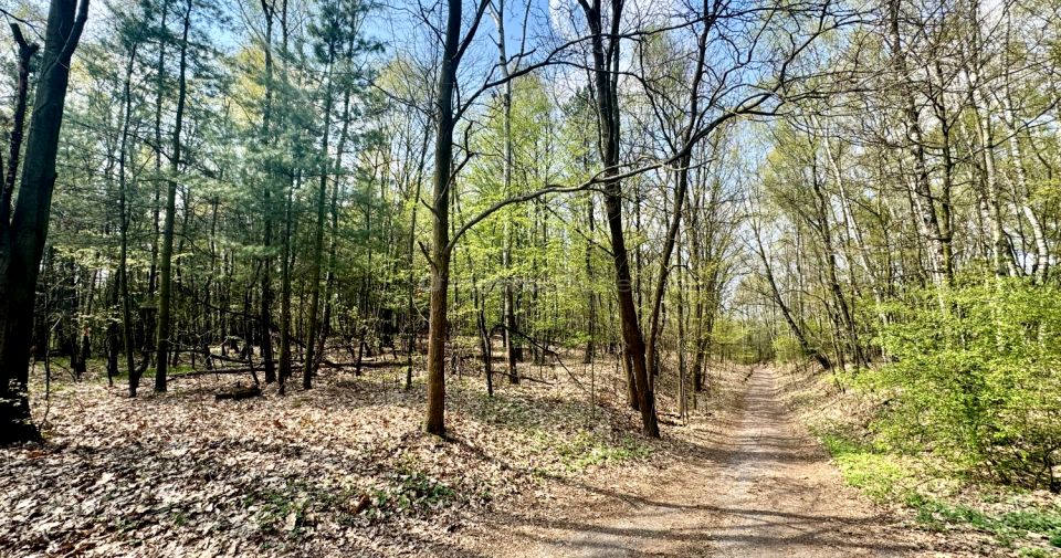 Działka leśna Rybnik