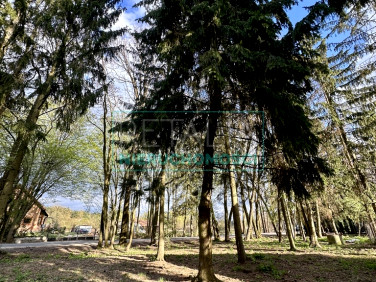 Działka budowlana Żółwin