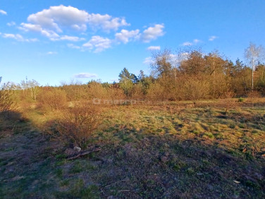 Działka rolna Warszawa