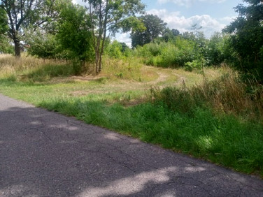 Działka budowlana Stara Dąbrowa