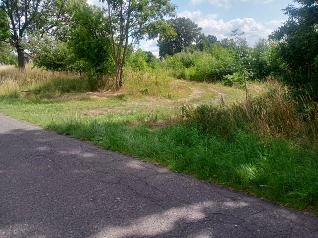 Działka budowlana Stara Dąbrowa