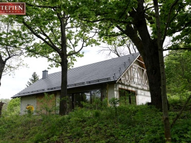 Dom Mniszków
