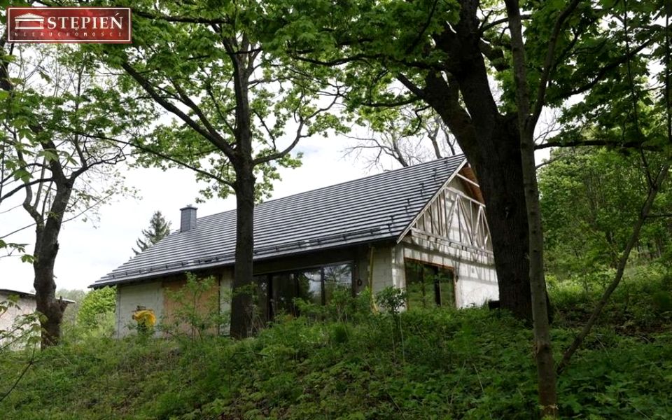 Dom Mniszków
