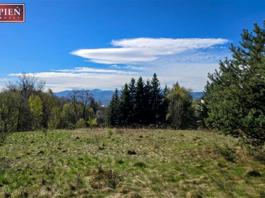 Działka budowlana Wojcieszyce