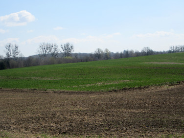 Działka rolna Strużyna